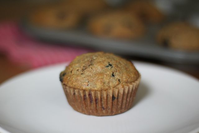 Blueberry Muffins