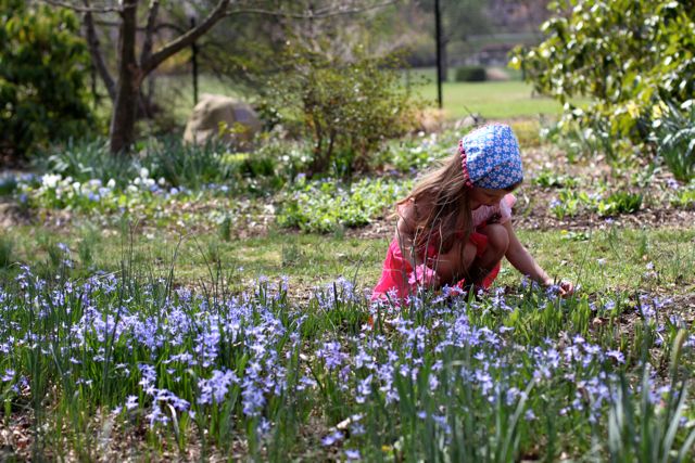 New Jersey Botanical Gardens