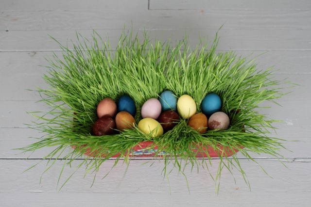 Naturally Dyed Easter Eggs